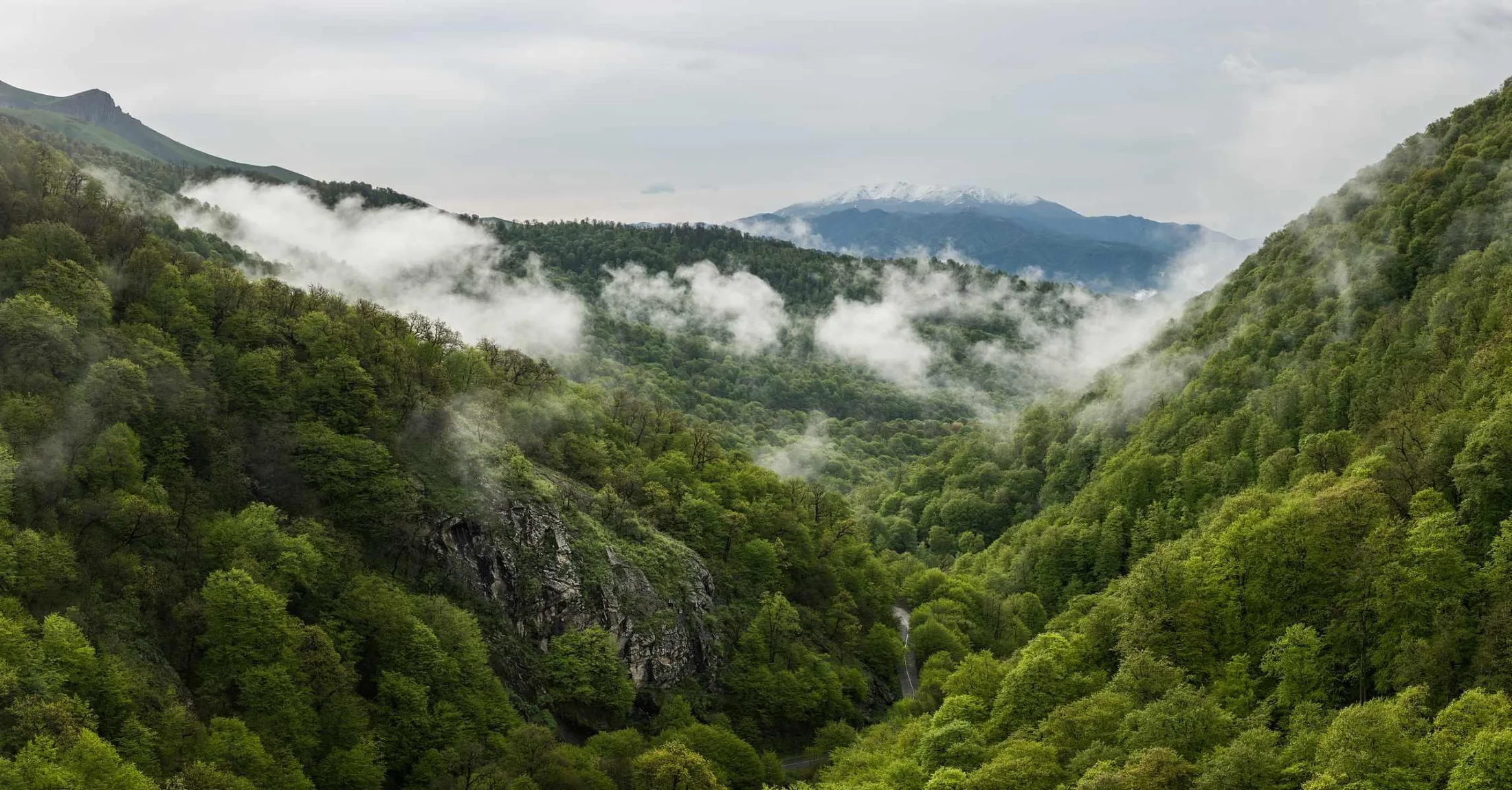 Dilijan National Park landscape