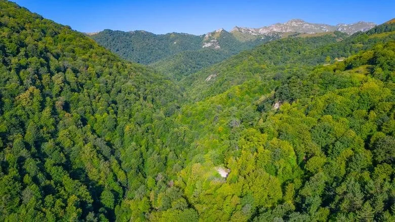 Dilijan, Timeless Nature