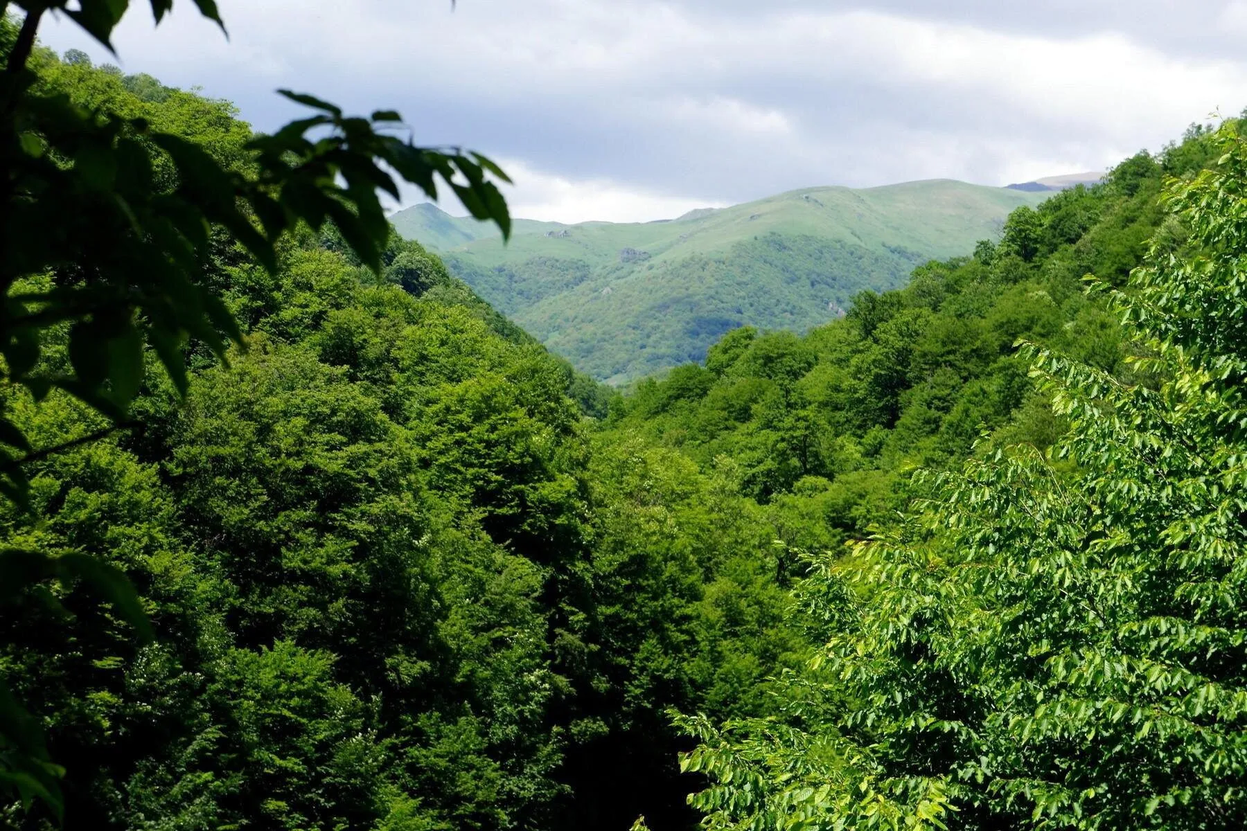 Dilijan National Park