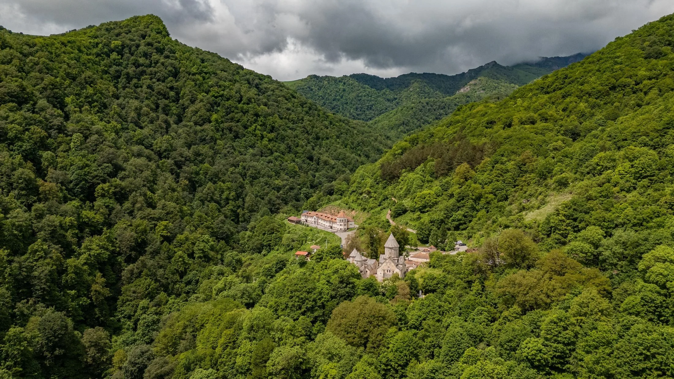 Forest Sanctuary