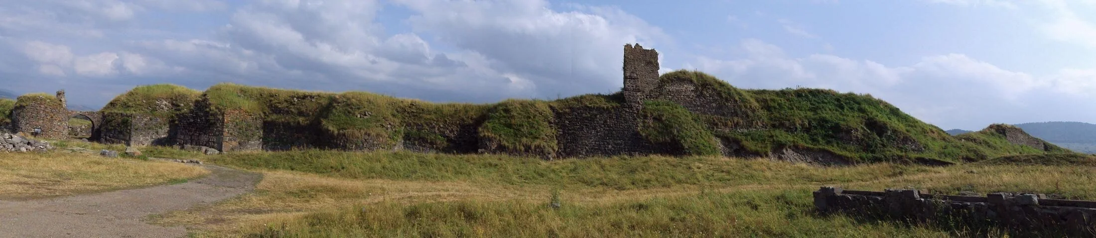 Lori Fortress