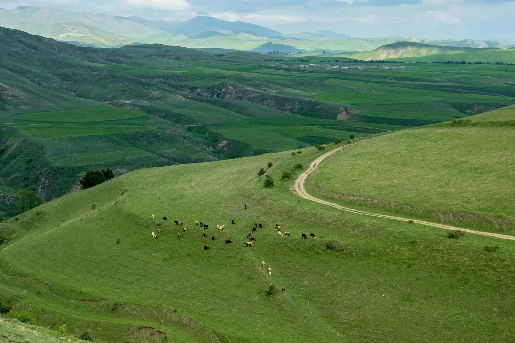 Lori Highlands, Timeless View
